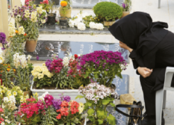 در گلستان شهدا چه می گذرد…