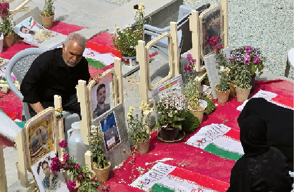 این گلستان ادامه دارد…