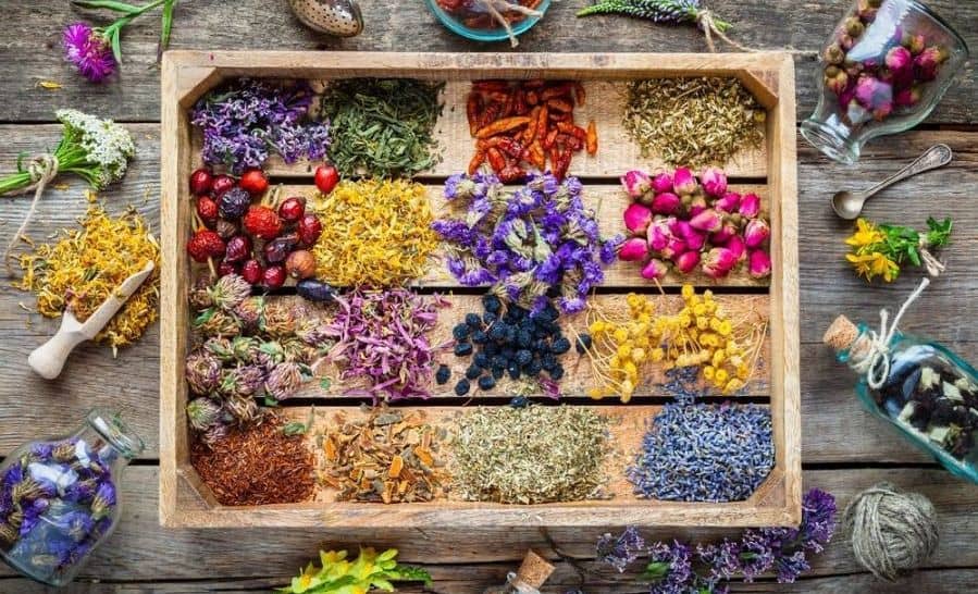بهترین گیاهان دارویی برای درمان بیماری‌های پوستی در بهار