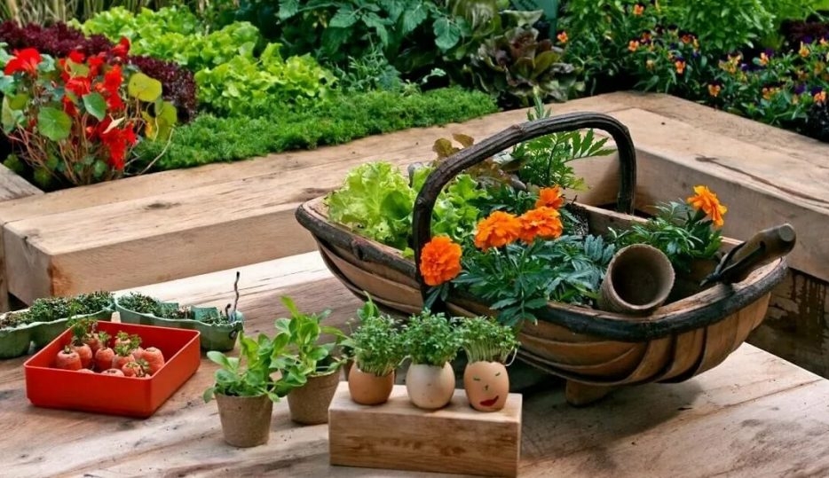 نحوه نگهداری گل و گیاه در بهار