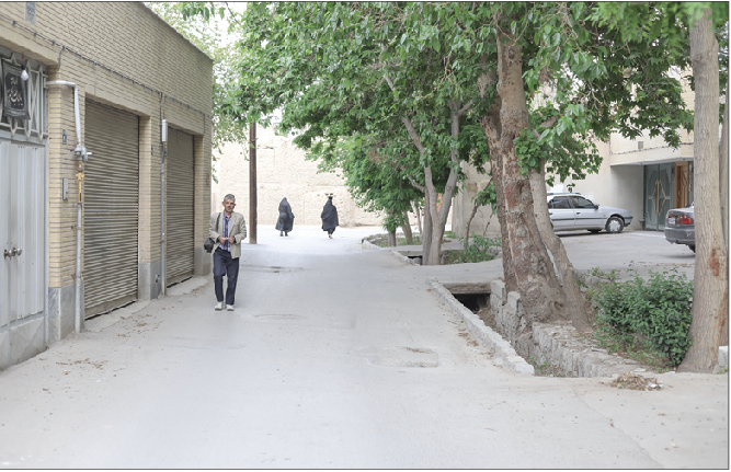 بیشه‌ای که هنوز نفس می‌کشد