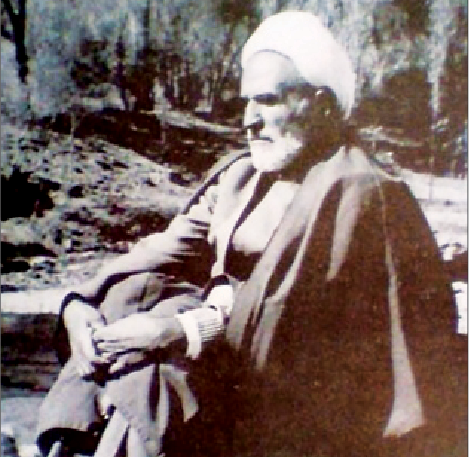 حبیب خطه خط