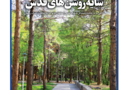 سایه روشن های قدس