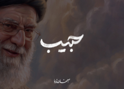 حبیب