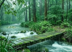 از آرامش طبیعت تا سکوت درمانی