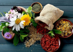 بهترین گیاهان دارویی برای افزایش انرژی و رفع خستگی روزانه