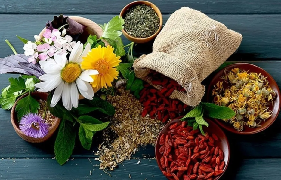 بهترین گیاهان دارویی برای افزایش انرژی و رفع خستگی روزانه
