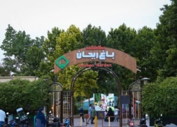 جشنواره ریحانی‌شو این هفته با محور شیرینی سالم