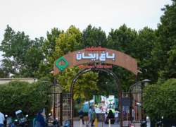 جشنواره فست‌فود سالم در سلامتکده ریحان