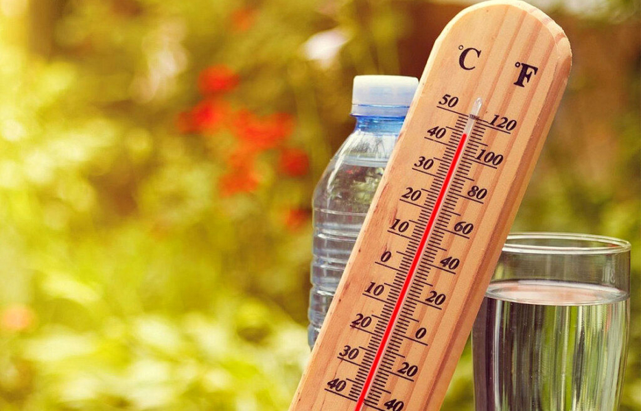 مهم‌ترین راه پیشگیری از گرمازدگی چیست؟ 