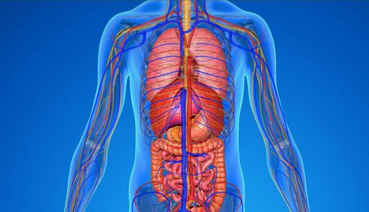 پاکسازی بدن به روش طبیعی 