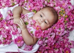 گلغلتان چه فوایدی برای نوزادان دارد؟ 