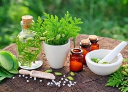 گیاهان دارویی؛ راهی طبیعی برای حفظ سلامت و درمان بیماری‌ها