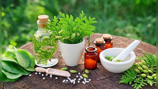 گیاهان دارویی؛ راهی طبیعی برای حفظ سلامت و درمان بیماری‌ها