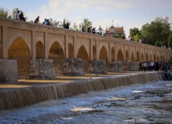 جریان آب در زاینده‌رود به بهبود موقت زیستگاه‌های طبیعی کمک کرد