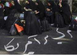 نرگس سرخ