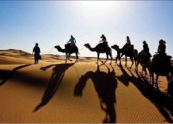 تولد دوباره مصر