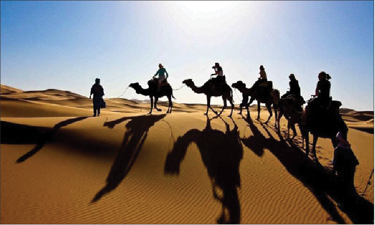 تولد دوباره مصر