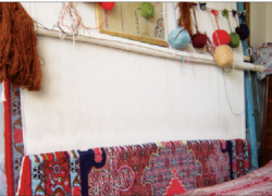 چوب بیمه بر پیکر قالی‌بافی