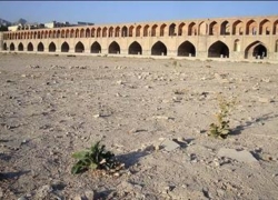 محیط‌زیست، مدیر مقتدر می‌خواهد!