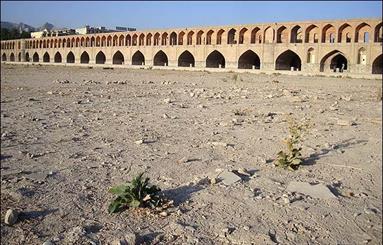 محیط‌زیست، مدیر مقتدر می‌خواهد!