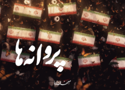 پروانه‌ها