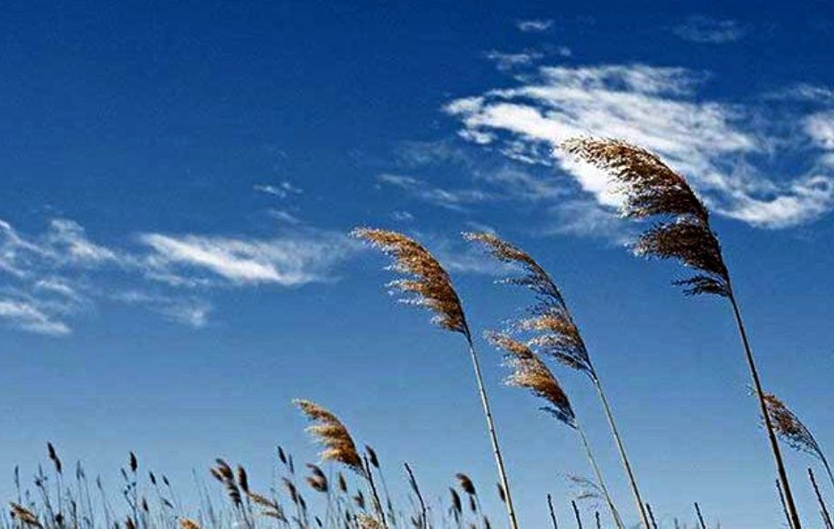 آسمان صاف در بیشتر مناطق کشور و وزش باد در برخی نقاط