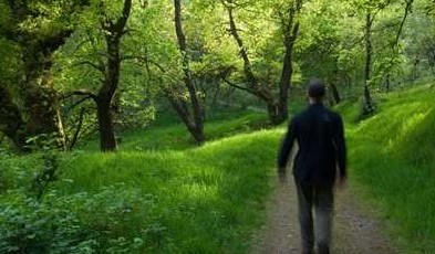 چند دقیقه قدم زدن در طبیعت چگونه ذهن را آرام می‌کند؟