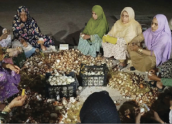 آدم‌ها اینجا همه زندگی‌شان وقف جنگ است!