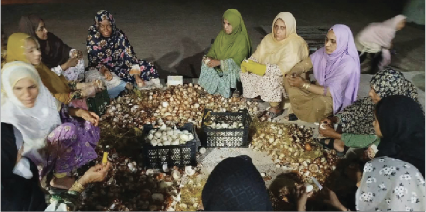 آدم‌ها اینجا همه زندگی‌شان وقف جنگ است!