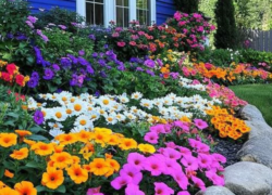 بهترین و ساده‌ترین گل‌ها برای پرورش در باغچه