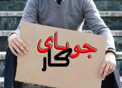 مدرک می‌گیریم  بیکار می‌شویم