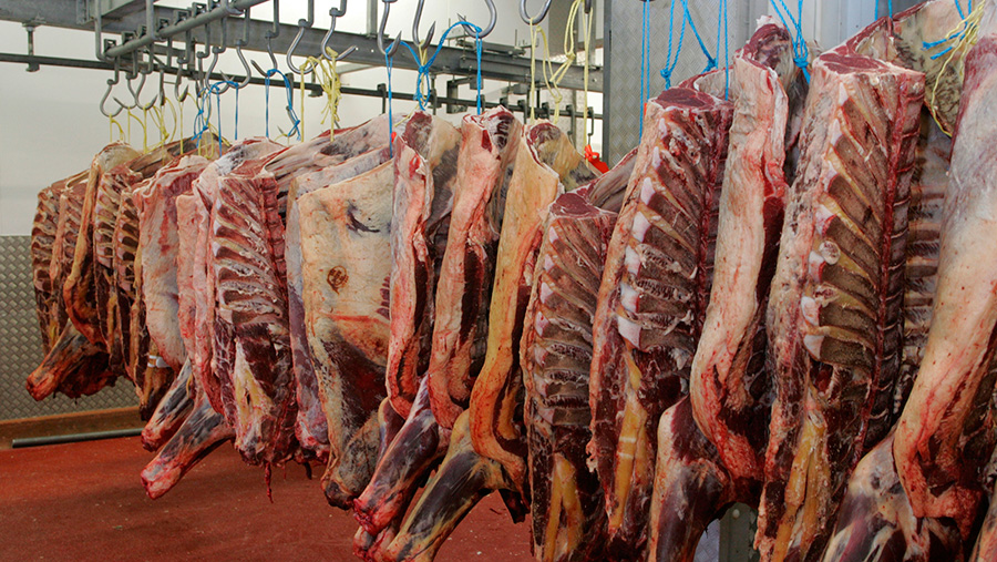 ثبت سفارش واردات گوشت از امروز آغاز شد 