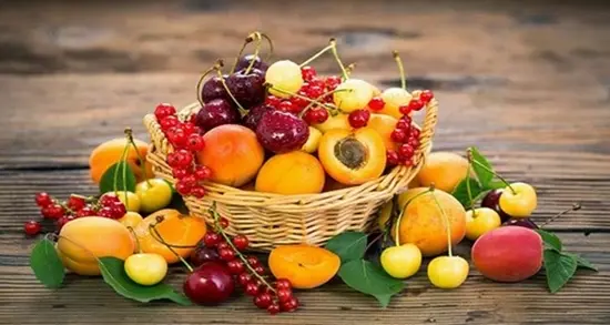 زمان طلایی مصرف میوه
