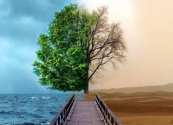 تأکید بر «زندگی» چه معنایی دارد؟