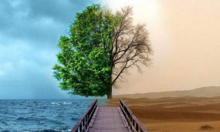 تأکید بر «زندگی» چه معنایی دارد؟