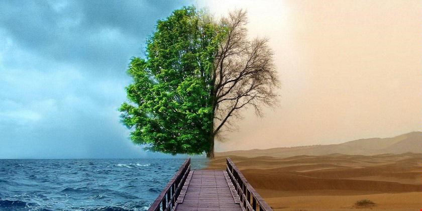تأکید بر «زندگی» چه معنایی دارد؟