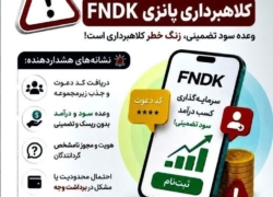 هشدار درباره کلاهبرداری پانزی FNDK؛ فریب وعده سود آسان را نخورید