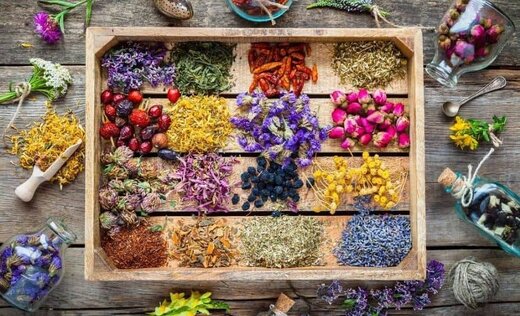 گیاهان دارویی مفید برای تقویت بدن