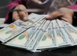 قیمت دلار امروز سه‌شنبه ۳۱ شهریور ۱۴۰۵