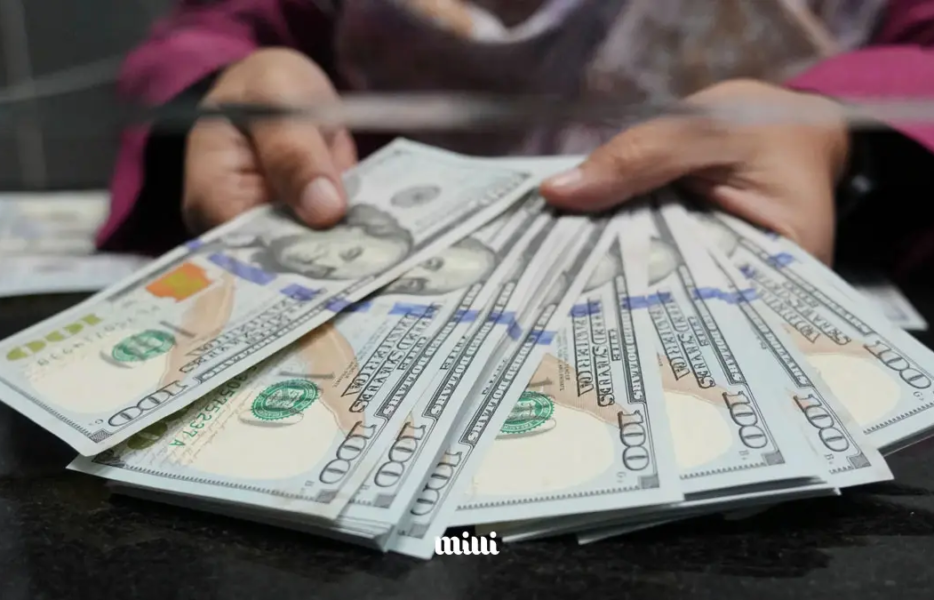 قیمت دلار امروز سه‌شنبه ۳۱ شهریور ۱۴۰۵