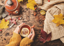 مراقبت‌های فصل پاییز
