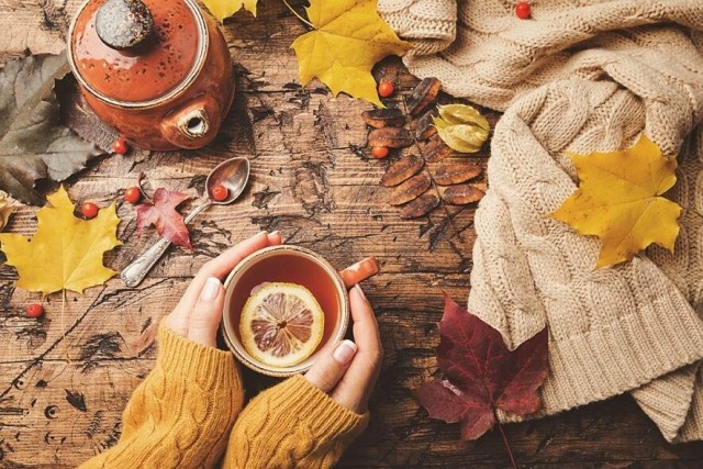 مراقبت‌های فصل پاییز