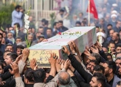 لاله‌ها از راه می‌رسند..!