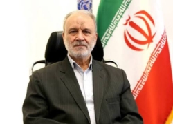 لزوم حمایت دستگاه‌های فرهنگی از مواکب و مقابله با ناهنجاری‌های اجتماعی در پارک‌ها