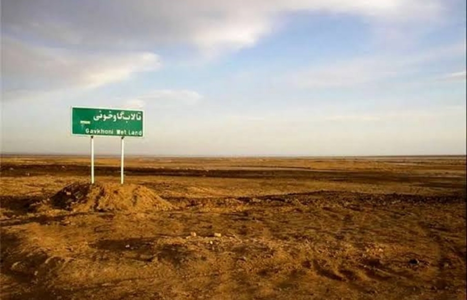 حساب کتاب در گاوخونی
