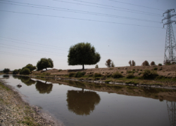 پساب به کمک آبخوان آمد؟